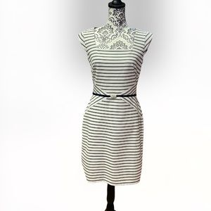 Ann taylor Dress